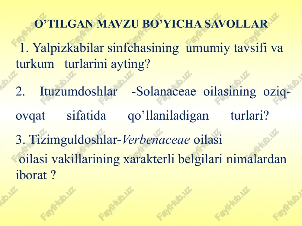 qoqio’tkabilar sinfchasi — PPT