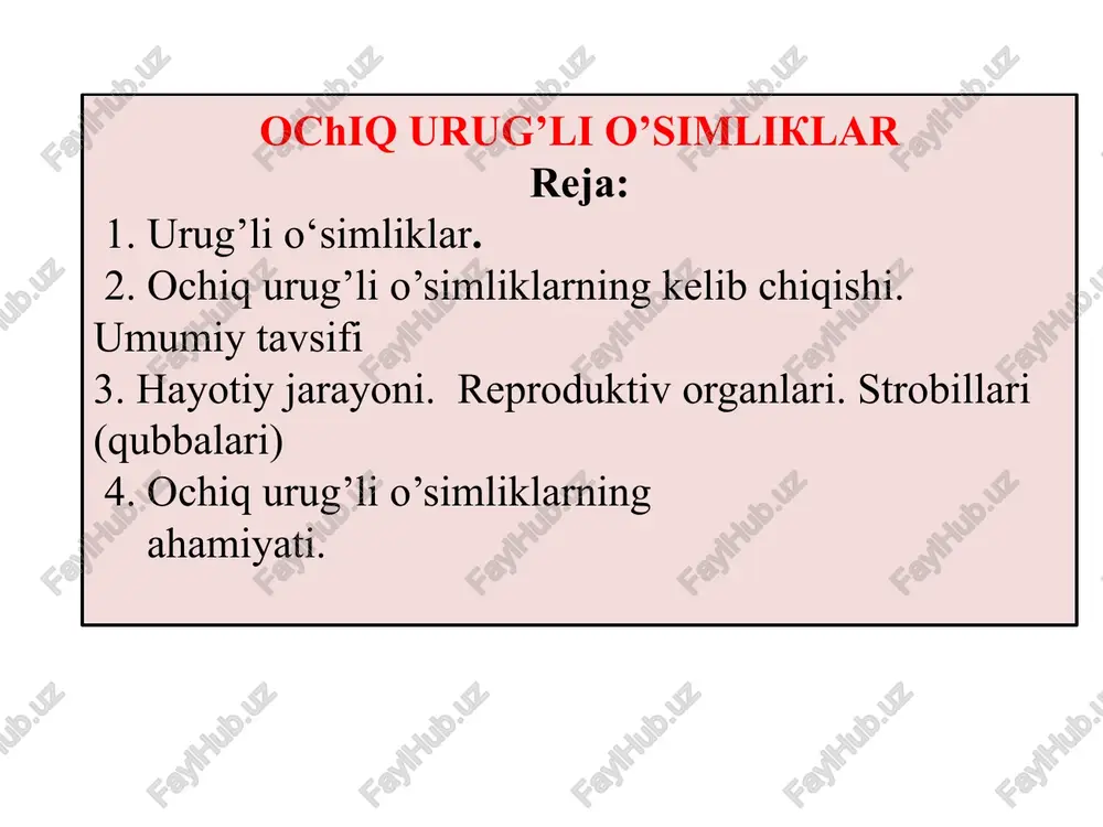 ochiqurug’lio’simliklar — PPTX