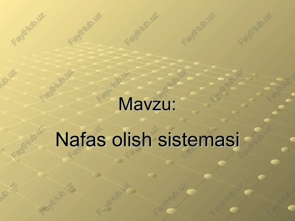 nafas olish sistemasi — PPT