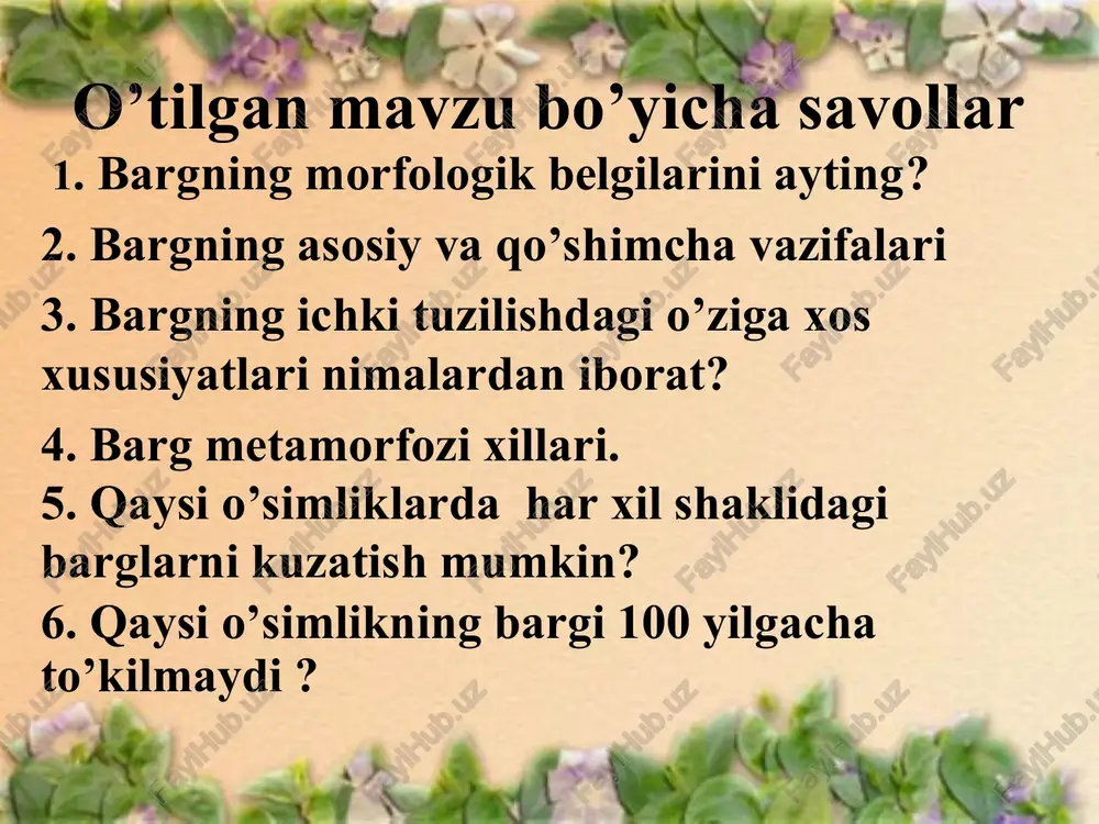 barglarning shakllari — PPT