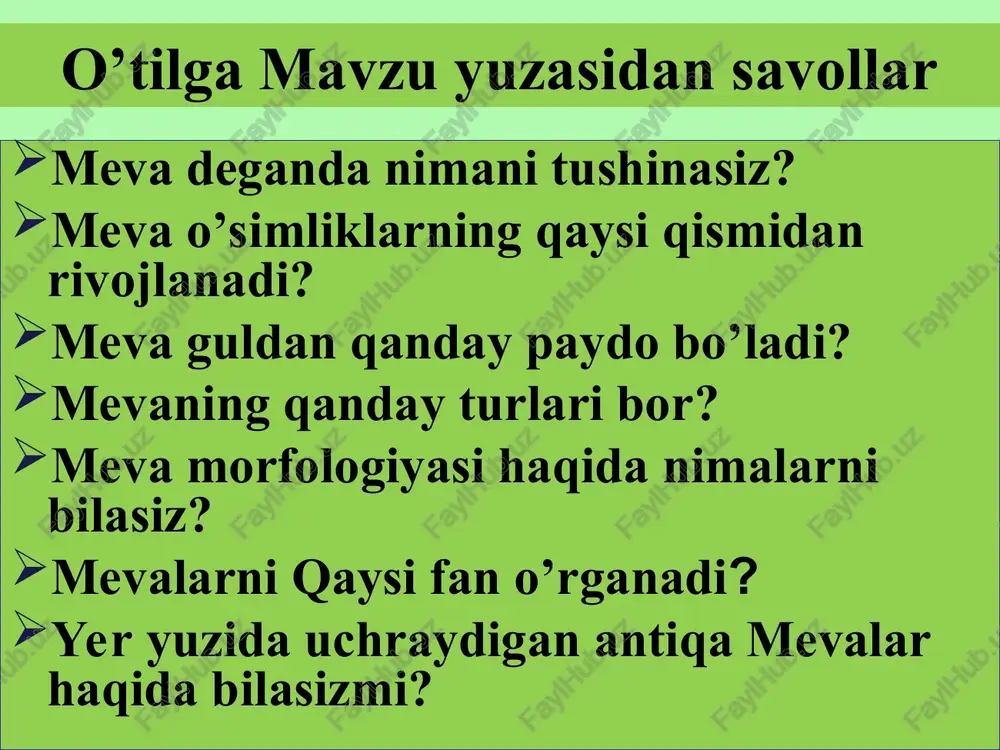 meva morfologiyasi — PPT