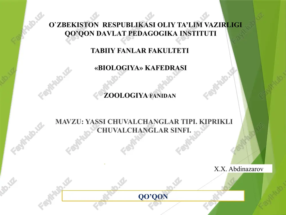 yassi chuvalchanglar tipi. kiprikli chuvalchanglarsinfi — PPTX