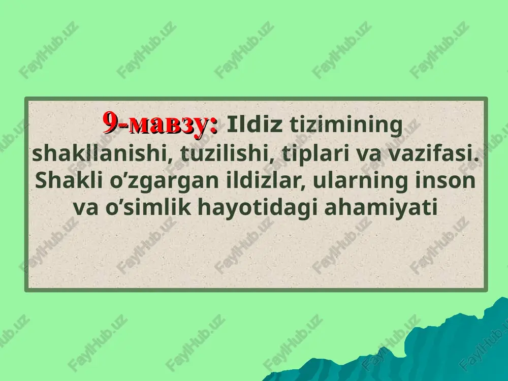 ildizlar — PPT