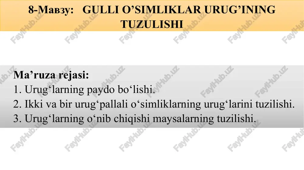 gulli o’simliklar urug’ining tuzulishi — PPTX