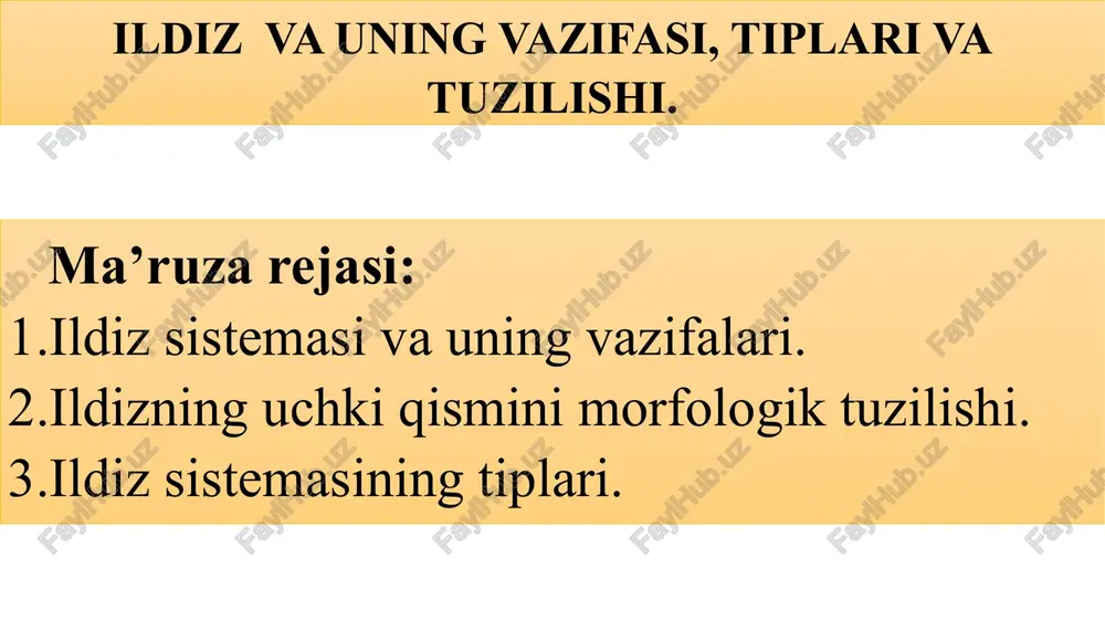 ildizva uning vazifasi, tiplari va tuzilishi — PPTX