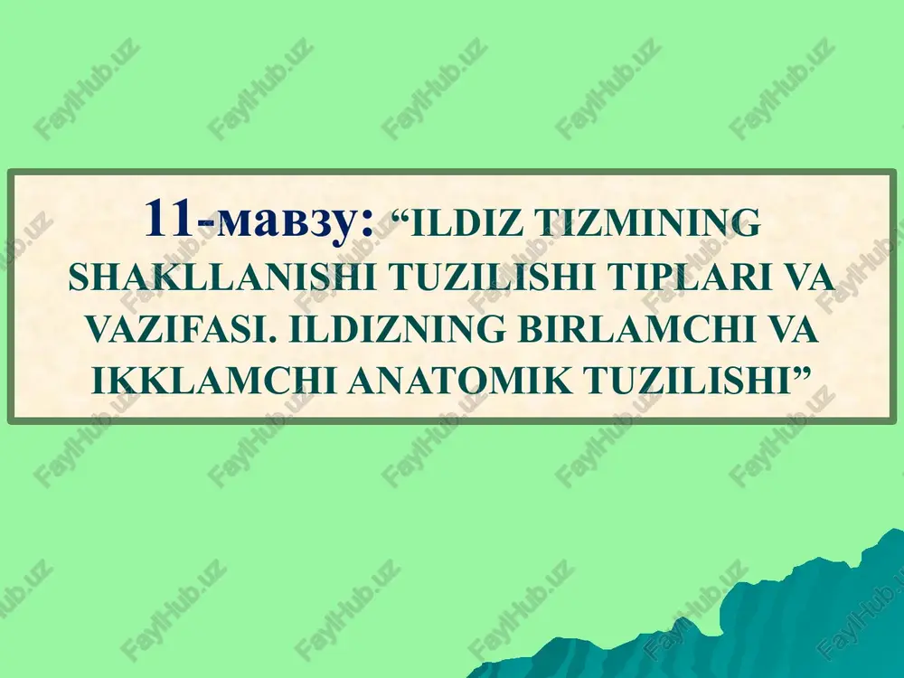 ildiz tizimi — PPT