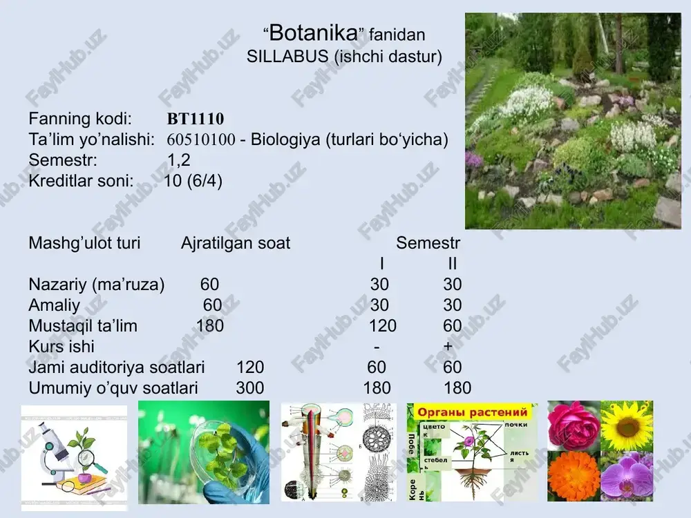 botanika — PPT