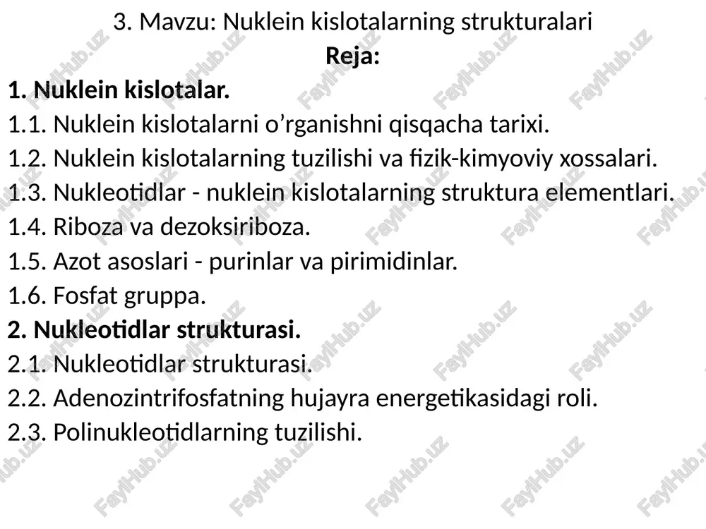 nukleinkislotalarningstrukturalari — PPTX