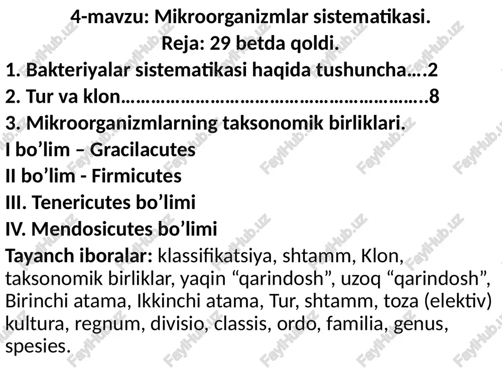 mikroorganizmlar sistematikasi — PPTX