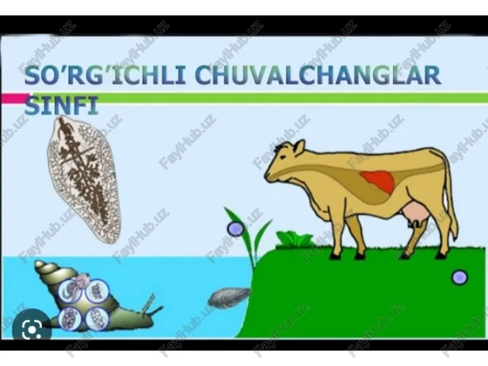 so’rg’ichli chuvalchanglar — PPTX