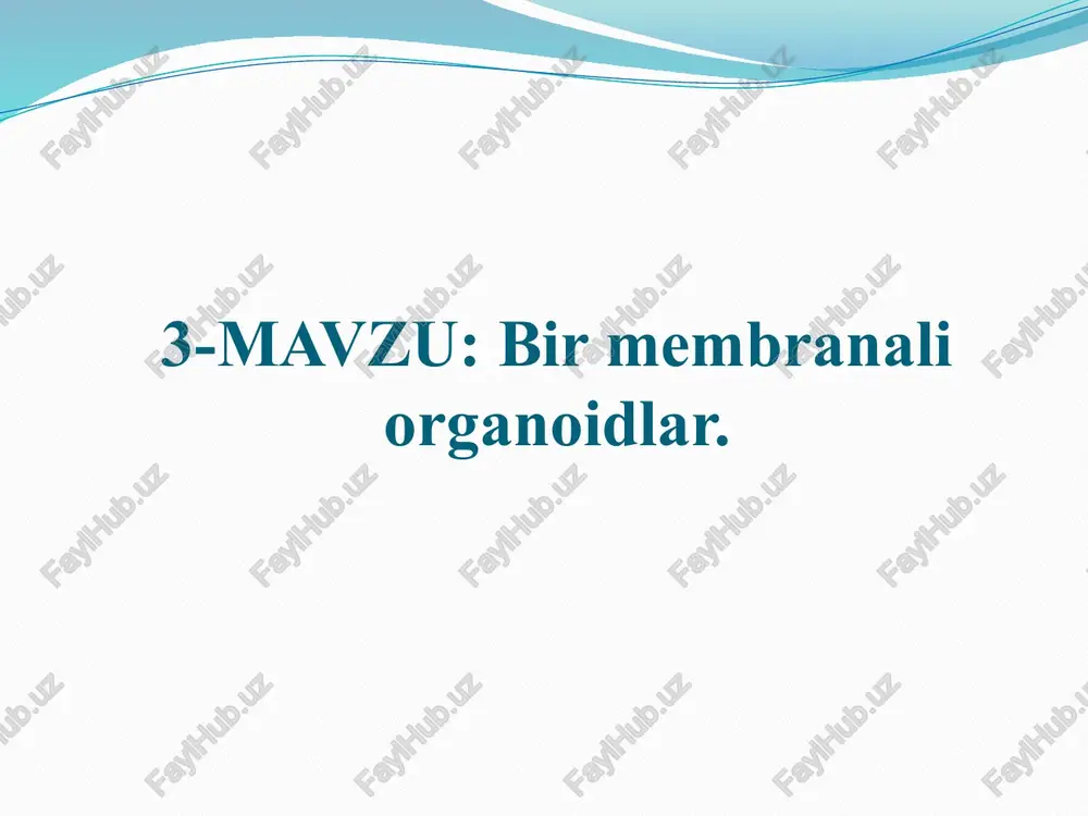 endoplazmatik to‘r — PPTX