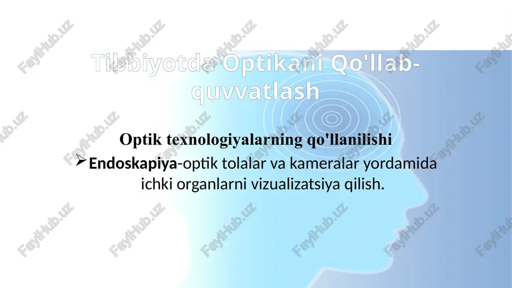 optikani qo'llab-quvvatlash — PPTX