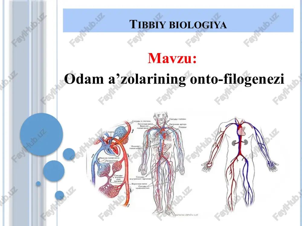 tibbiybiologiya — PPTX