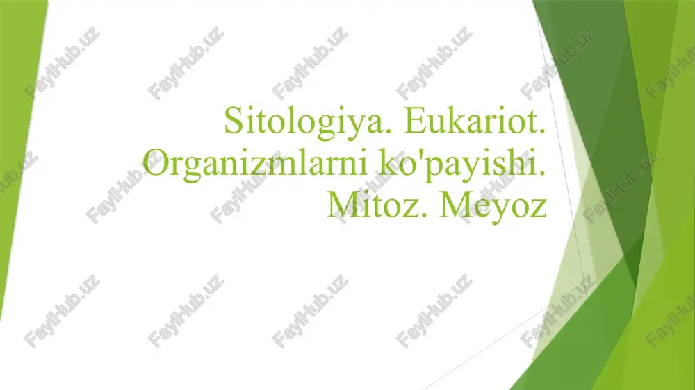 meyoz — PPTX
