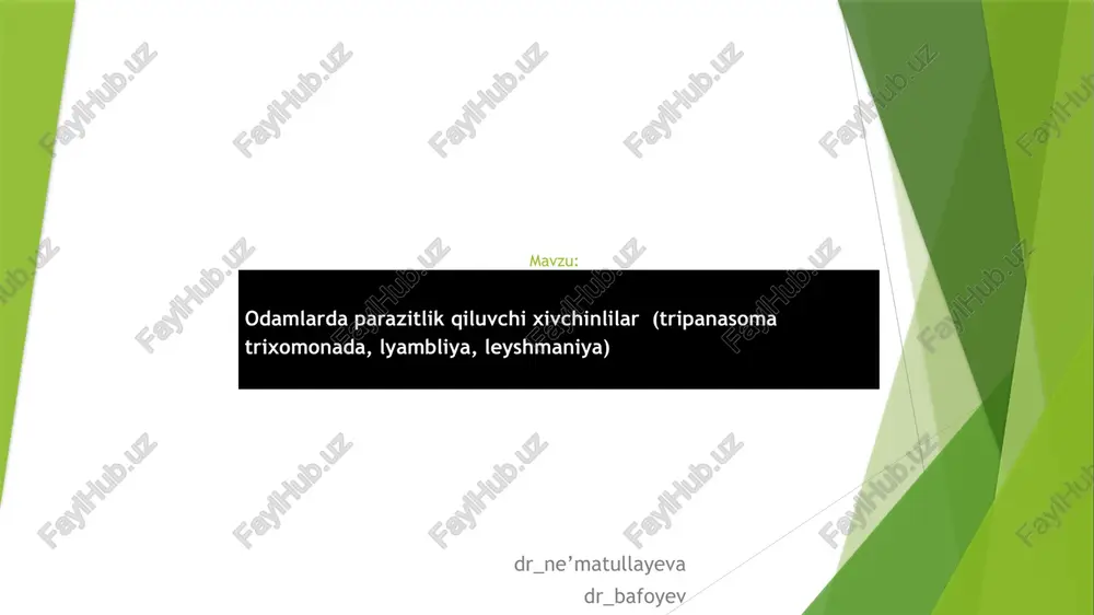 leishmania — PPTX