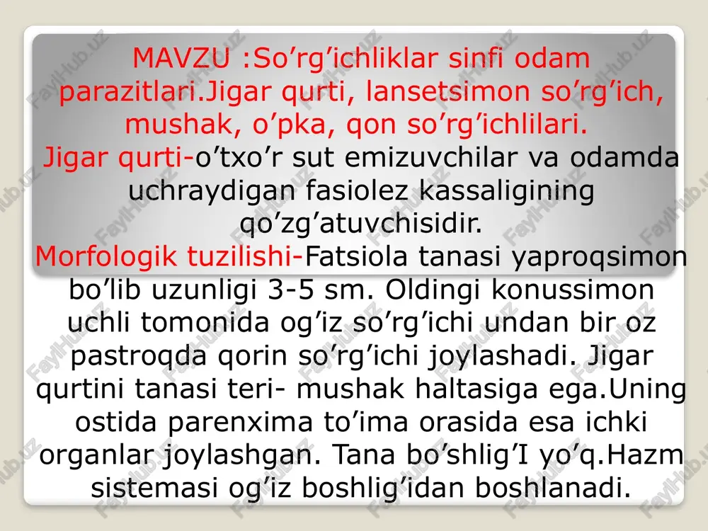 so’rg’ichliklar sinfiodamparazitlari — PPTX