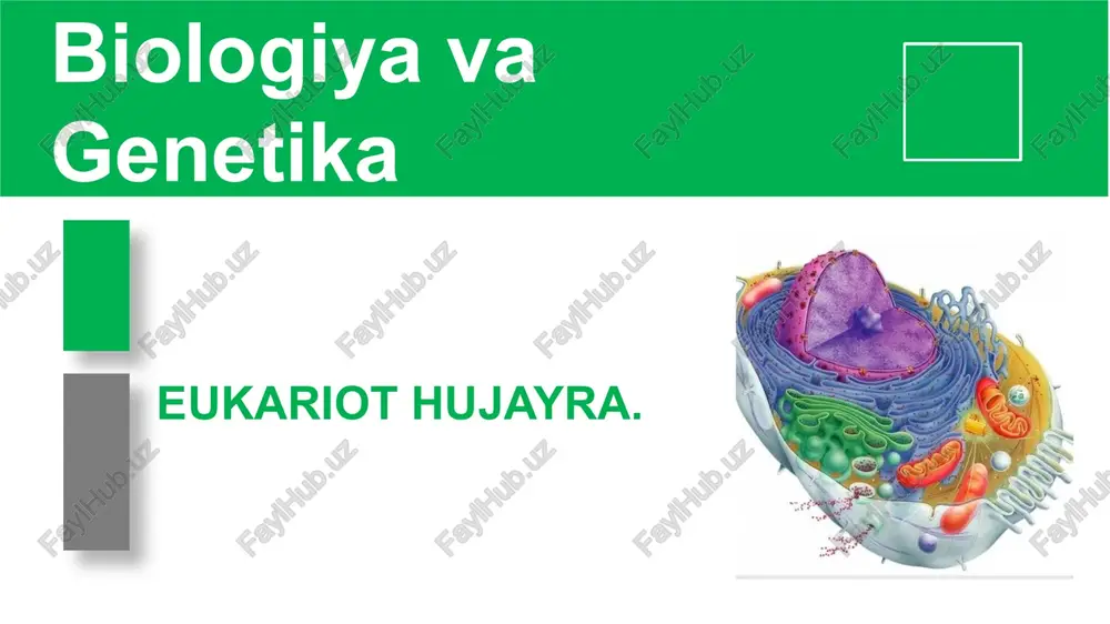 eukariot hujayra — PPTX