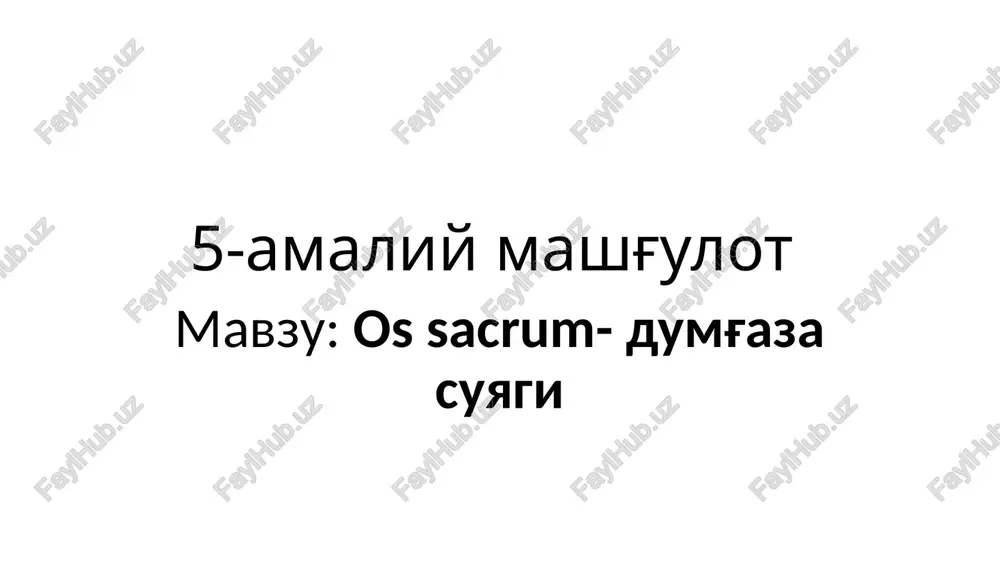 ossacrum-dumg'aza suyagi — PPTX