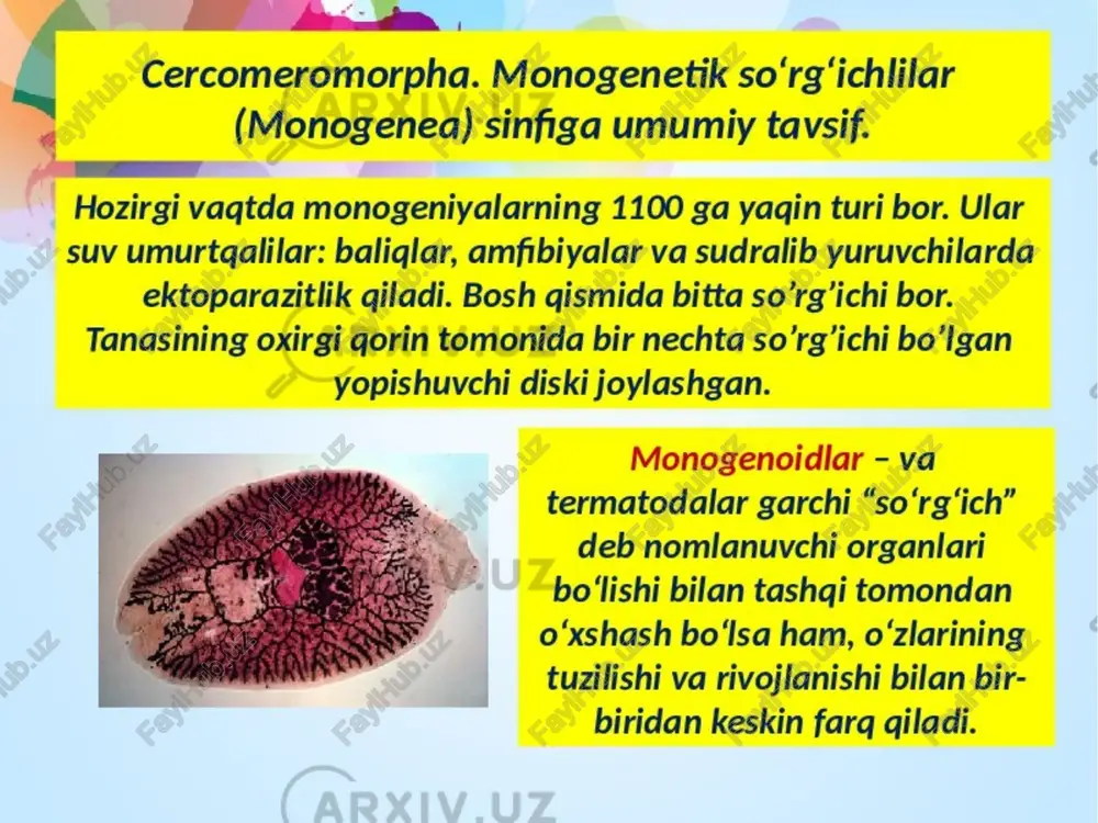 so‘rg‘ichlilarning bargsimon tanasi — PDF