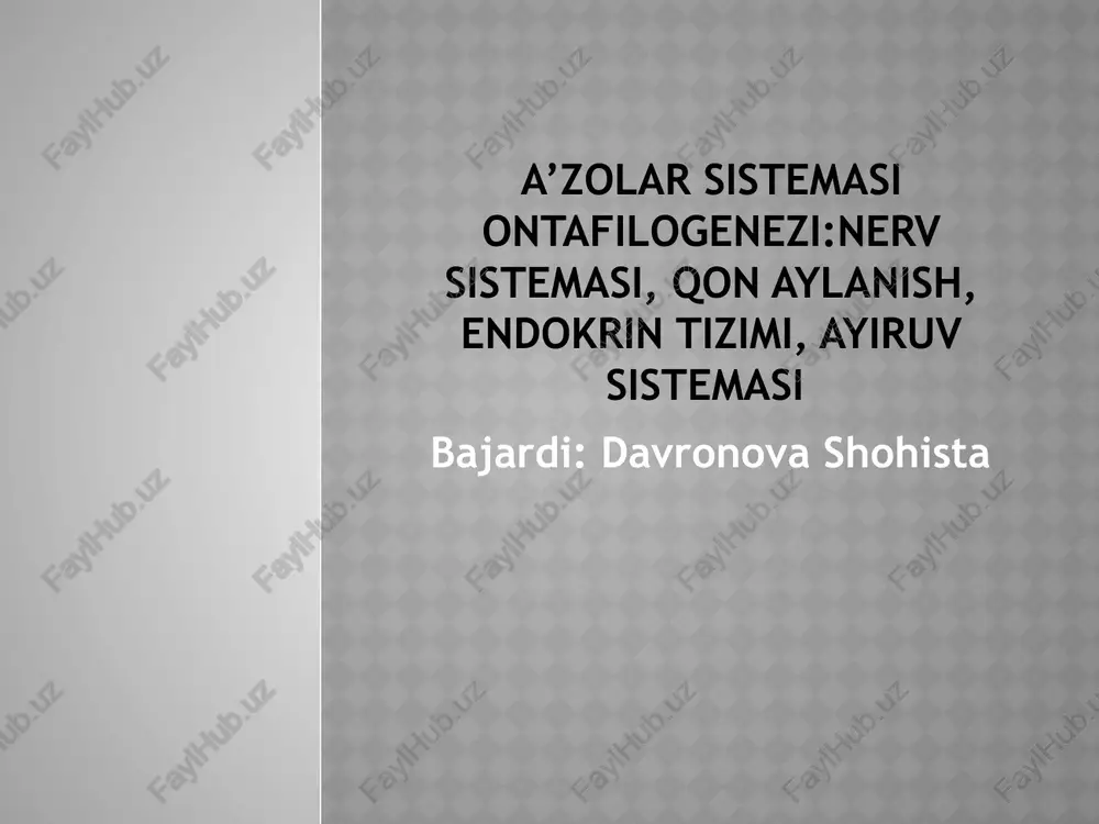 nervsistemasi — PPTX