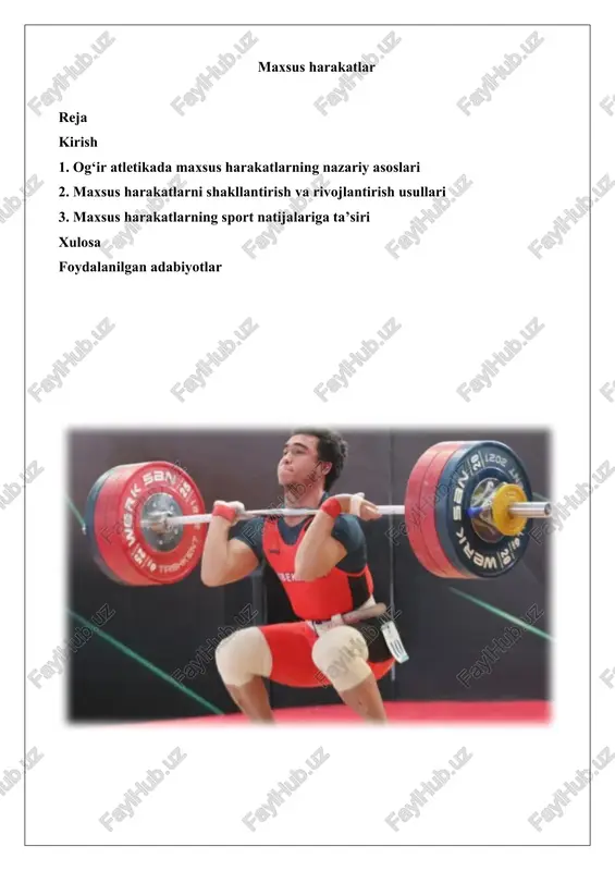 maxsus harakatlar — DOCX
