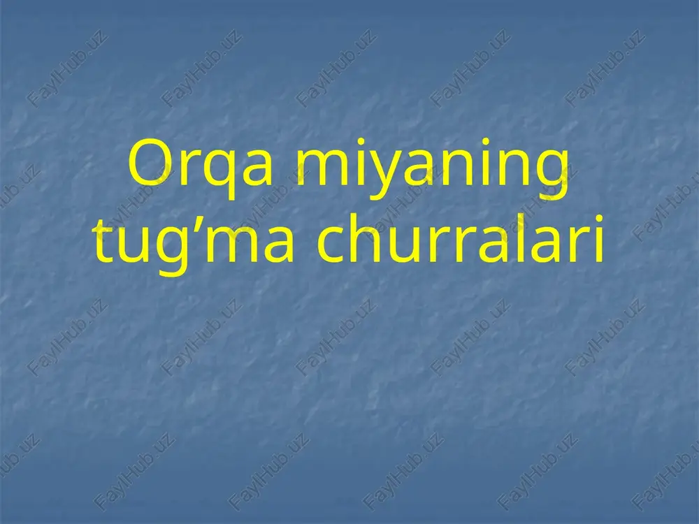 orqa miyaning tug'ma churralari — PPTX