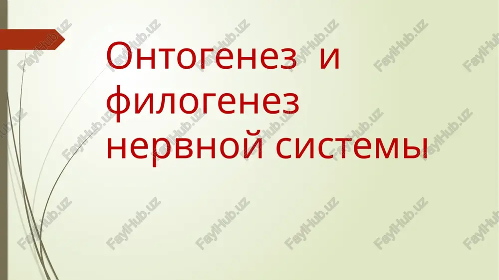 ontogenez i filogenez nervnoy sistemi — PPTX