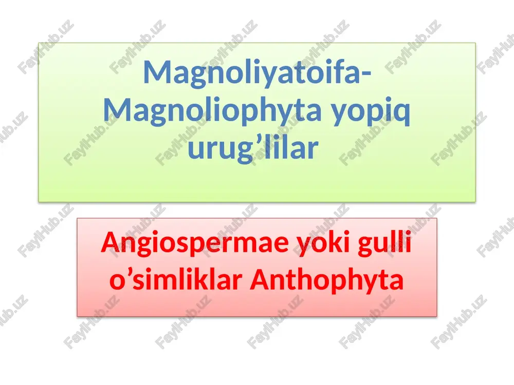 magnoliyatoifa-magnoliophytayopiqurug’lilar — PPTX