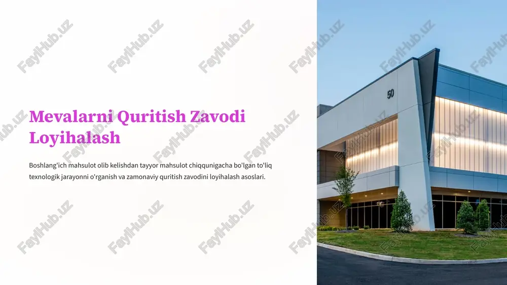 mevalarni quritish zavodi loyihalash — PPTX