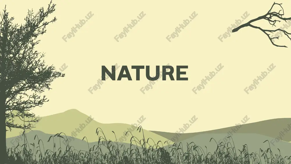 the four elements of nature — PPTX