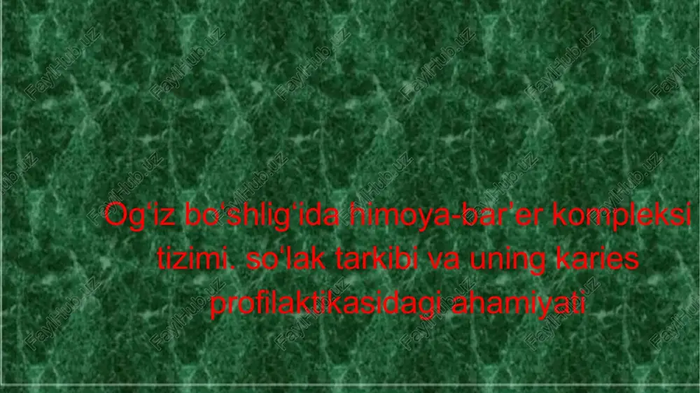 so'lak — PPTX
