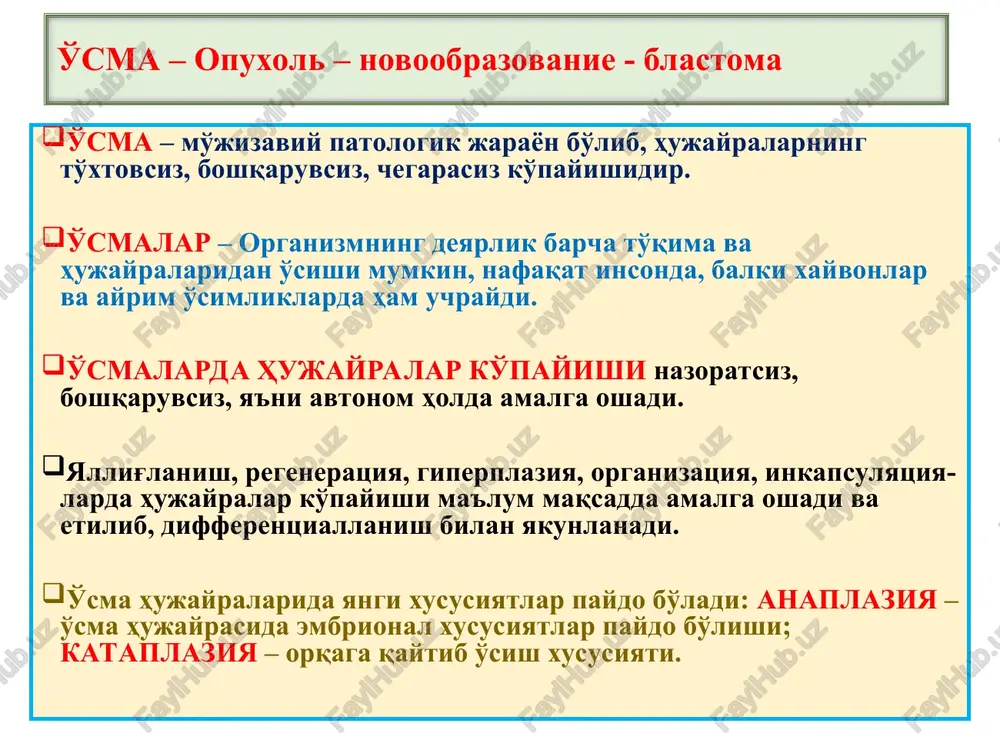 o'sma — PPT