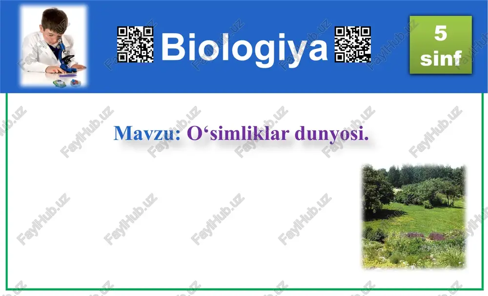 o‘simliklar dunyosi — PPT