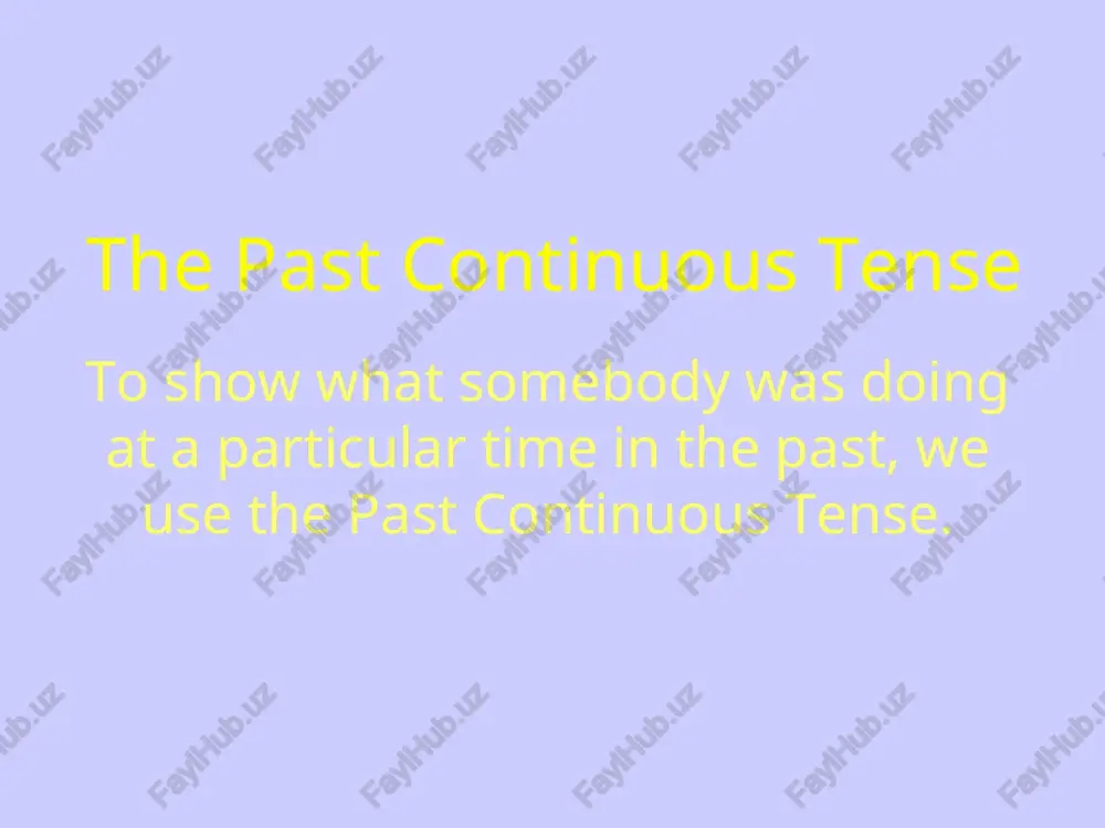 the past continuous tense — PPT
