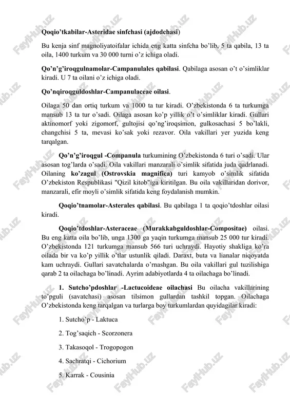 qoqio’tkabilar-asteridae sinfchasi (ajdodchasi) — DOCX
