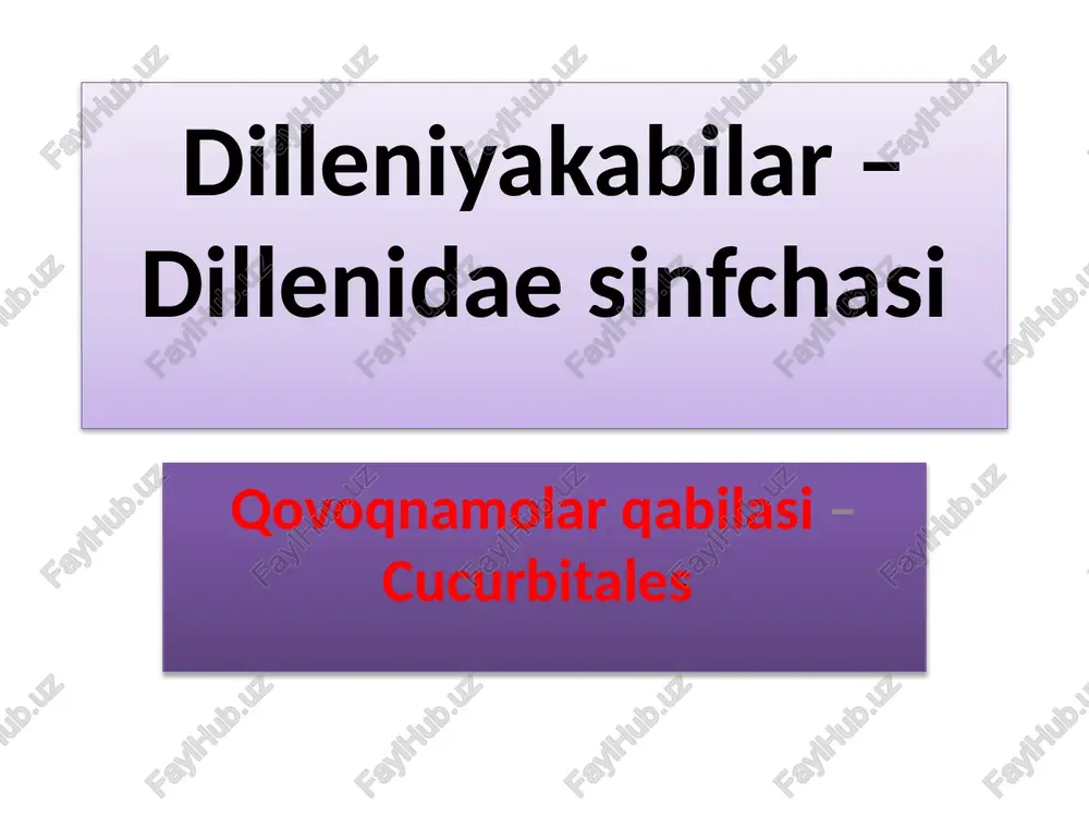 dilleniyakabilar–dillenidaesinfchasi — PPTX