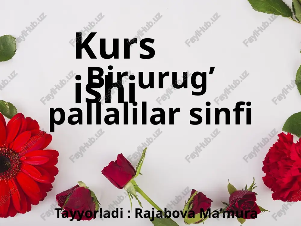 birurug’pallalilarsinfi — PPTX