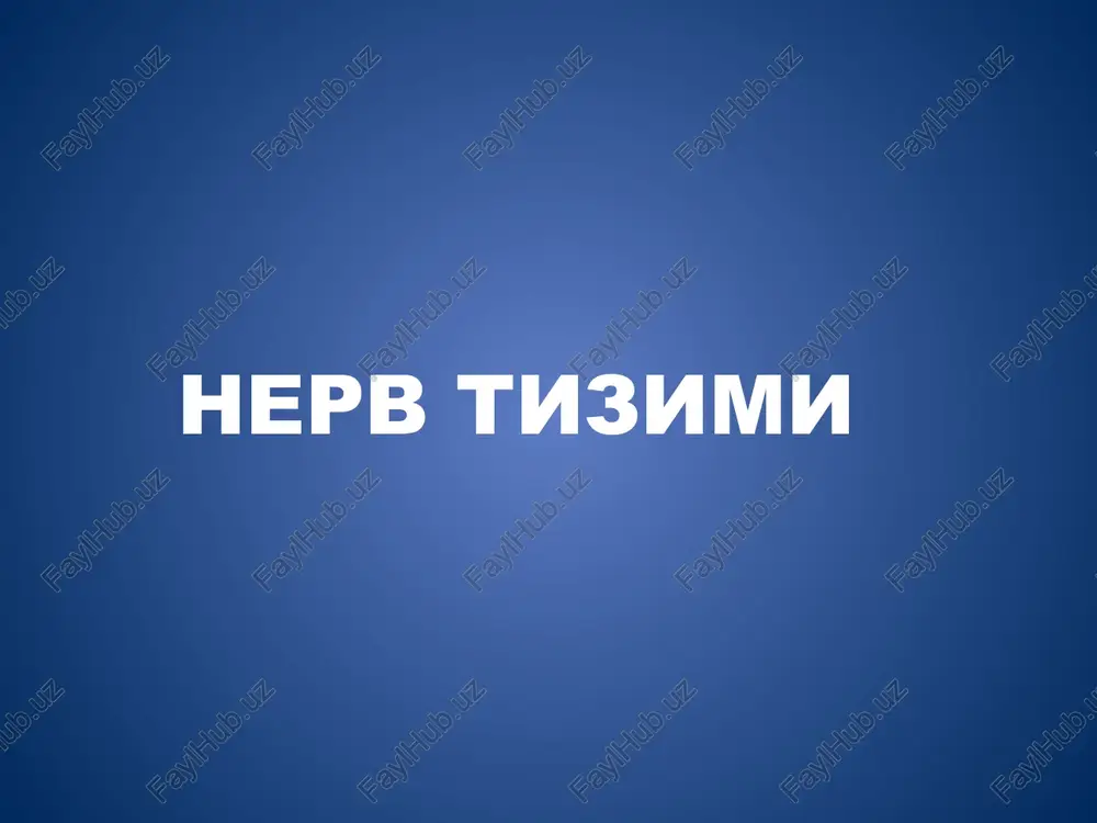nervtizimi — PPTX