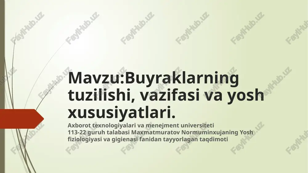 buyraklarning tuzilishi, vazifasi va yosh xususiyatlari — PPTX