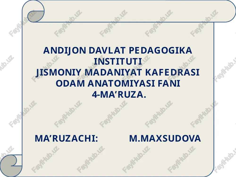 odam anatomiya fanidan 4-ma'ruza — PPTX
