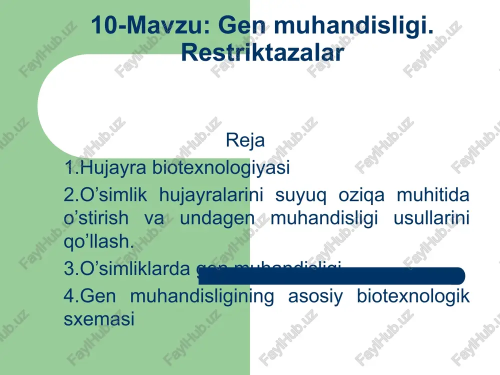 genmuhandisligi.restriktazalar — PPTX