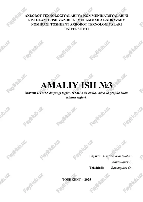 html5 da yangi teglar — DOCX