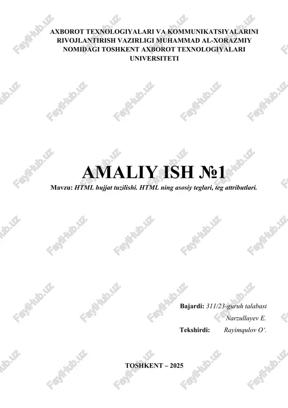 html hujjat tuzilishi — DOCX