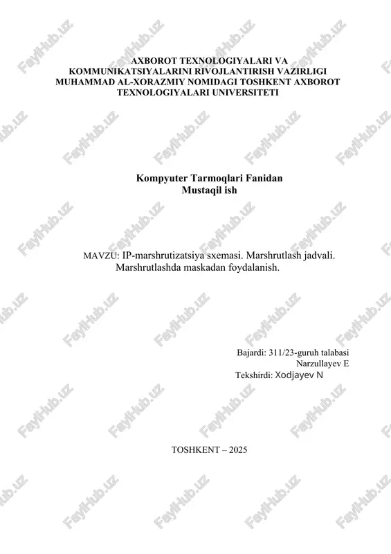 ip-marshrutizatsiya sxemasi — DOCX