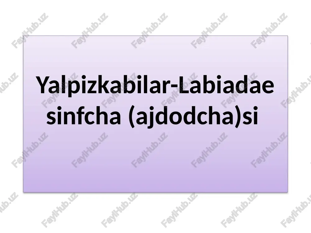 yalpizkabilar-labiadaesinfcha(ajdodcha)si — PPTX