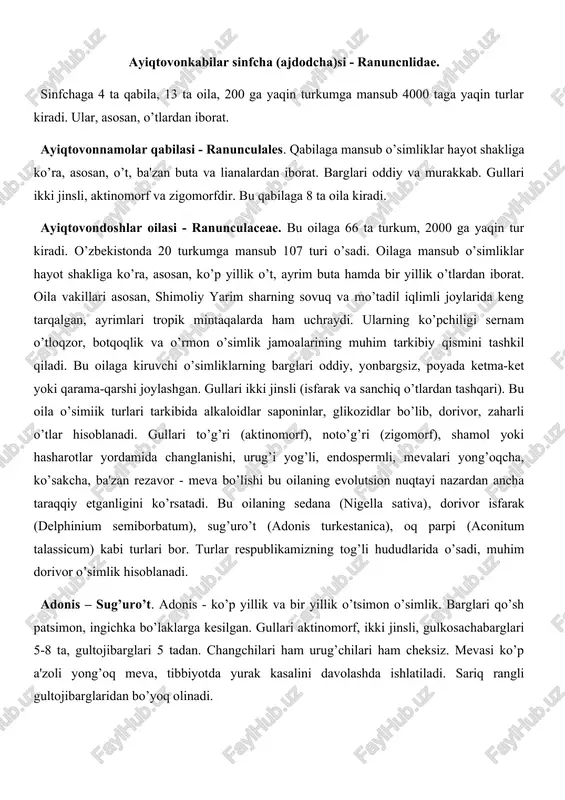 ayiqtovonnamolar qabilasi — DOCX