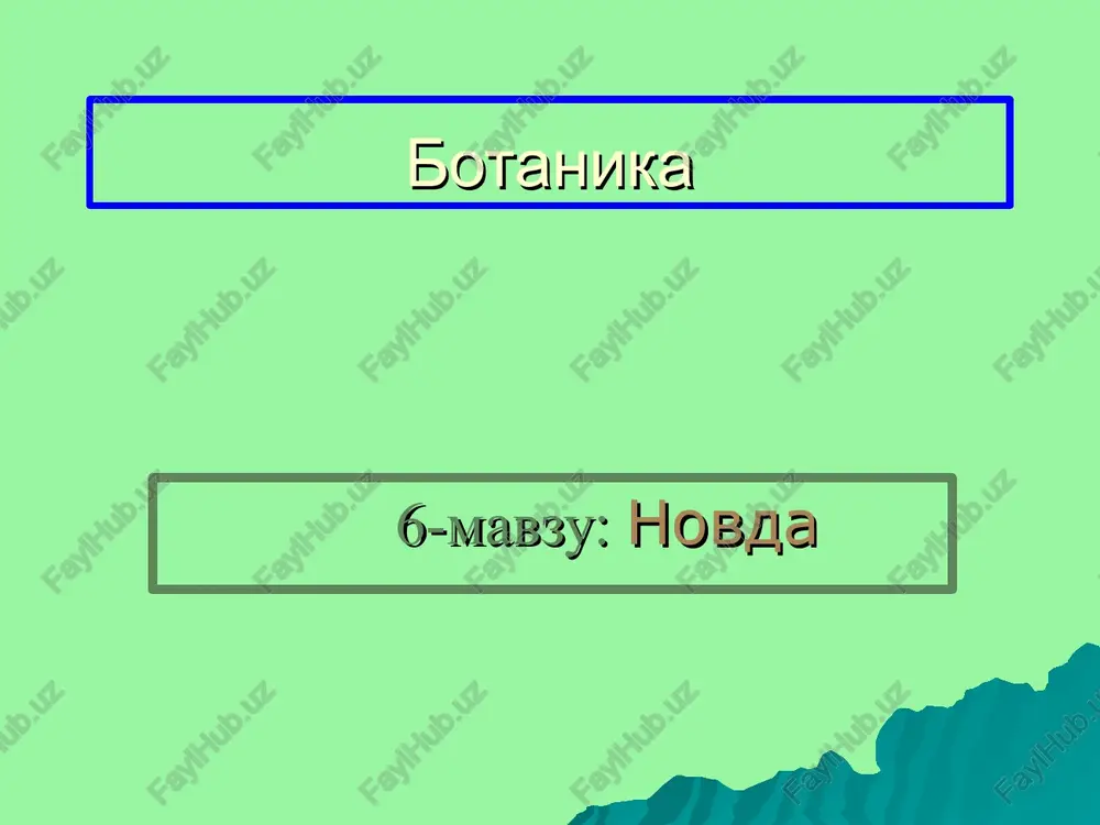 botanika — PPT
