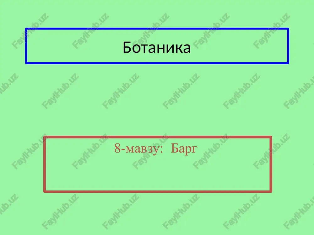 botanika — PPT