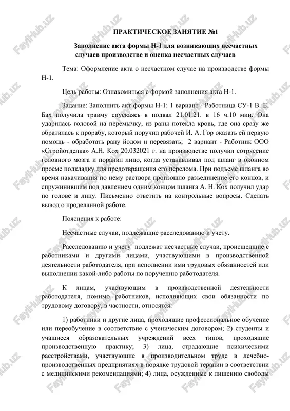 oformlenie akta o neschastnom sluchae na proizvodstve formi n-1 — DOCX