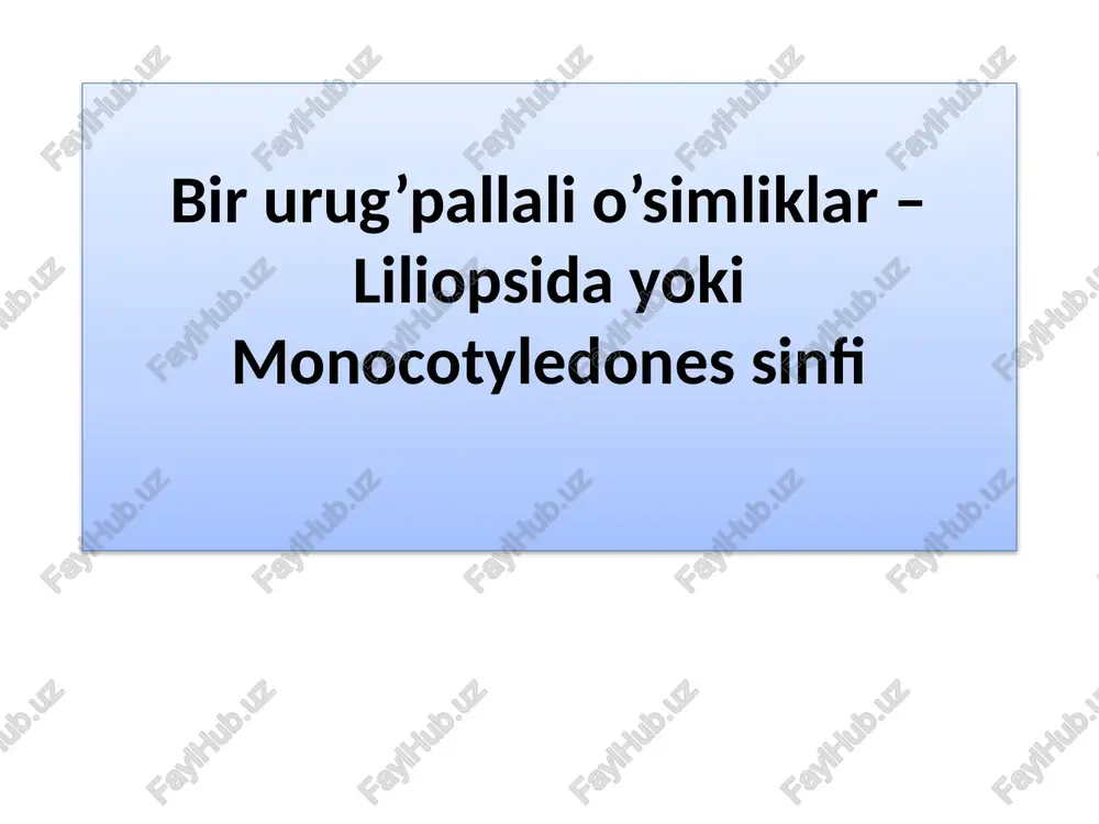 birurug’pallalio’simliklar–liliopsidayoki monocotyledones sinfi — PPTX